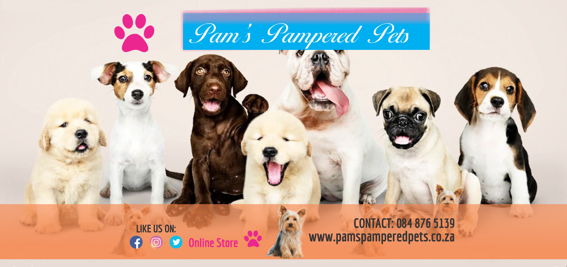 pampered pets online shop